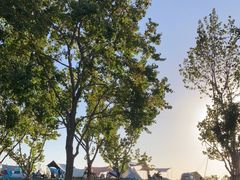 -上海山野camping·户外天幕烧烤·团建拓展营地