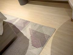 -麗枫酒店(西安大明宫龙首原地铁站店)