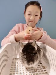 -Moni星球萌宠·小马宝莉·灵蛇·高端高阶全萌宠互动体验俱乐部(红豆国际广场店)