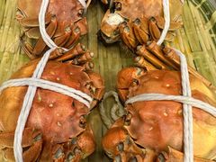 -蟹天蟹地农家菜·阳澄湖大闸蟹(浅水湾店)