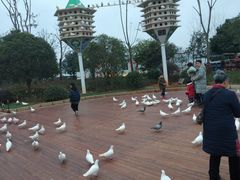 -南昌之星游乐场