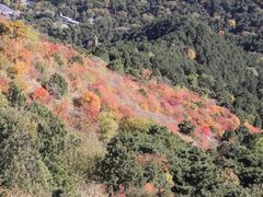 -香山公园