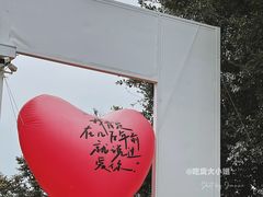 -三垟湿地