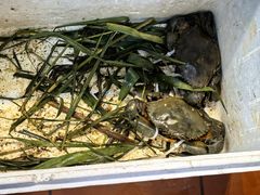 -大笑饭堂(甲子桥店)