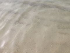 -横岗眼镜城