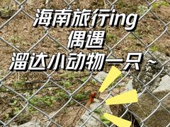 -三亚南山文化旅游区