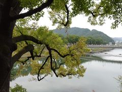 -蒋氏故居