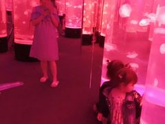 -成都浩海立方海洋公园