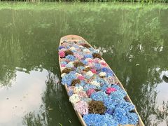 -同里国家湿地公园