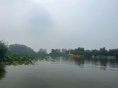 -白洋淀景区