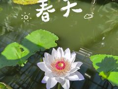 -国家植物园南园