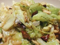 -鸽子窝(青塔店)