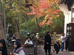 -宋宴(虎跑店)