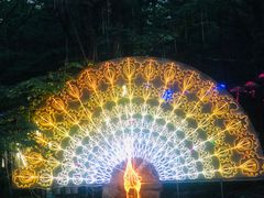 -洛阳白云山景区