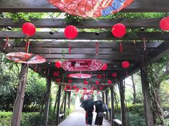 -白马涧龙池景区