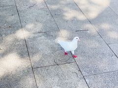 -人民广场
