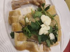 湛江白切鸡-湛江渔港·大排档(乐园路总店)