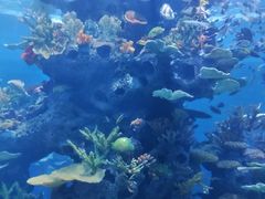 -多彩贵州城极地海洋世界