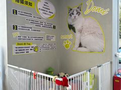 -上海浦东smart汽车全功能店(金桥店)