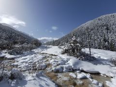 -黄龙山原始森林景区