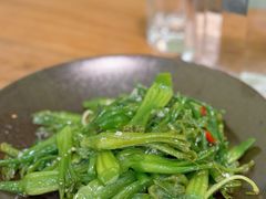 清炒水性杨花-紫滇源云南生态菜(丹凤街店)