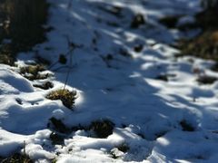 -太子岭滑雪场