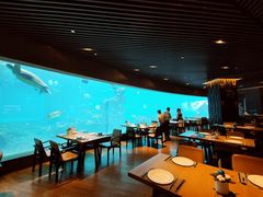 大堂-海棠湾洲际-涛·海底餐厅·美人鱼·自助餐·海底隧道