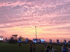 -泰达航母主题公园