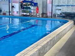 -小海豚国际游泳培训中心(浦东塘桥店)