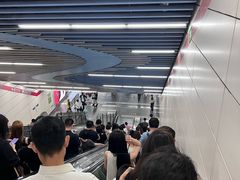 -大望路(地铁站)