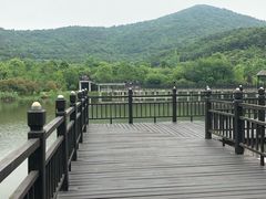 -石塘人家