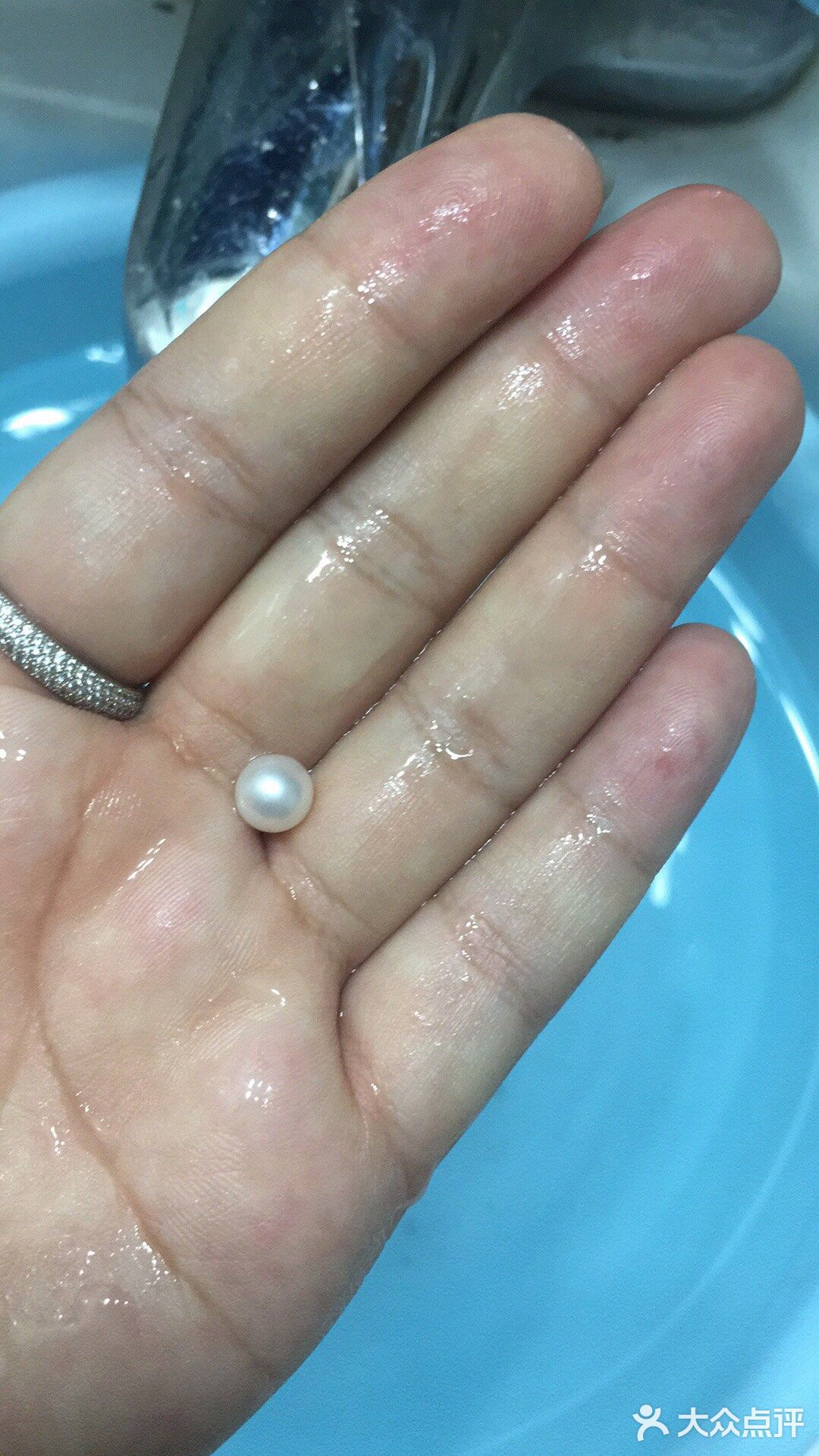 珍珠开蚌— 去年有一段时间时间，疯狂迷恋开蚌取珍珠