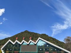 -牛背梁国家森林公园