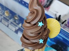 巧克力冰激凌-贝林大翅鲸简餐厅(国家海洋博物馆店)