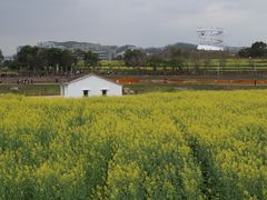 -光明小镇欢乐田园