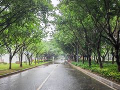 -厦门园林博览苑