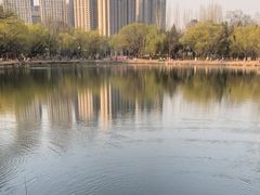 -青城公园