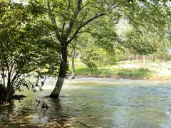 -永定河休闲森林公园