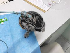 -达爱动物医院·犬猫分区·CT·复杂眼科(远洋山水分院)