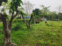 -广东花都香草世界旅游度假区