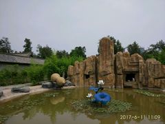 -关林