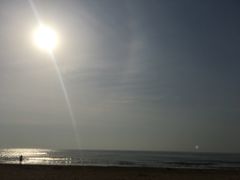 -日照海滨国家森林公园