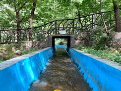 -沂蒙山旅游区云蒙景区(蒙山国家森林公园)