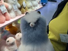 -上海第一八佰伴