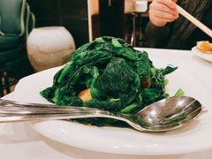 清炒豆苗-岭南小馆