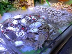 -聚盛源蒸汽海鲜火锅烤肉自助(巨川金海岸购物广场店)