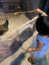 -酷嗒动物文化乐园(cutezoo西溪乐天城店)