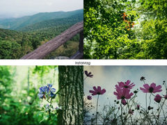 android_upload_pic-三块石国家森林公园