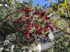 -春晖园度假酒店温泉