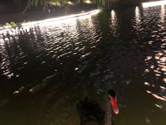 -金桥现代产业园区-停车场